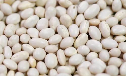 White kidney bean extract