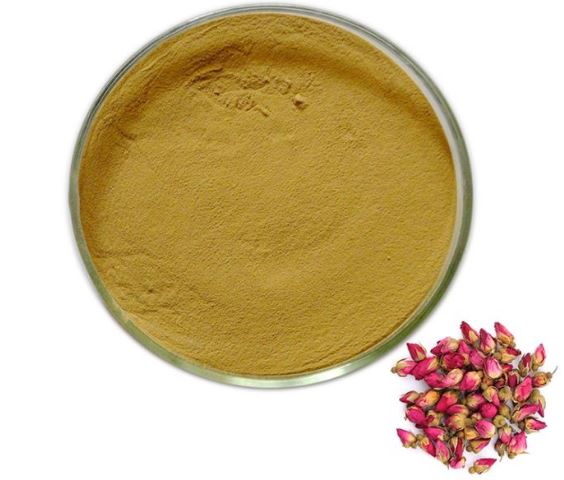 QQ截图20190805170022