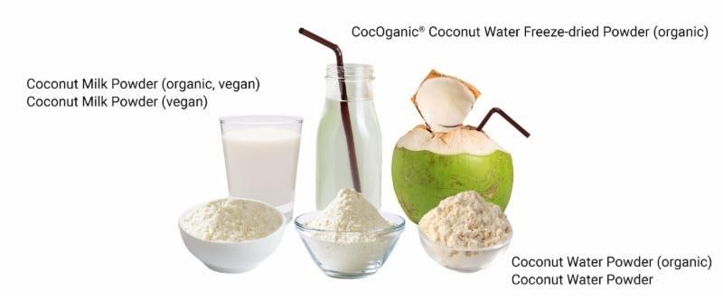 newsletterCoconut3