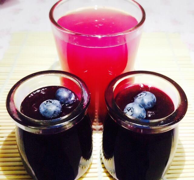 Undersun’s blueberry powder manufacturers