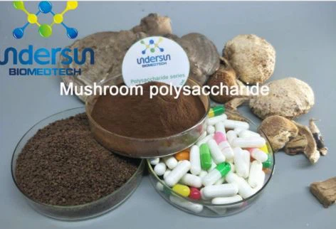 Mushroom extract manufacturer-Undersun