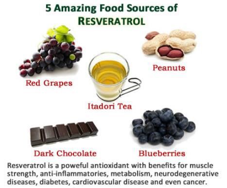 resveratrol food chart