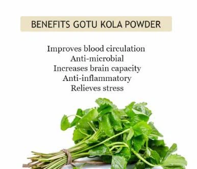 Gotu Kola Extract Powder benefits