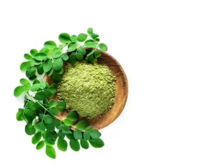 Moringa Powder for Sale-1 Moringa Powder for Sale-1