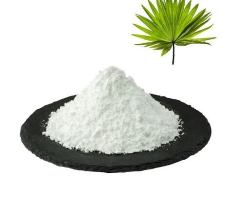 Saw Palmetto Extract-1 Saw Palmetto Extract-1
