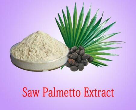 Saw Palmetto Standardized Extract-2 Saw Palmetto Standardized Extract-2