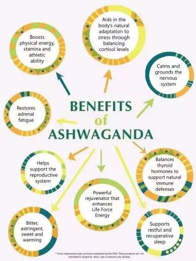 Ashwagandha Organic Powder Benefits Ashwagandha Organic Powder Benefits
