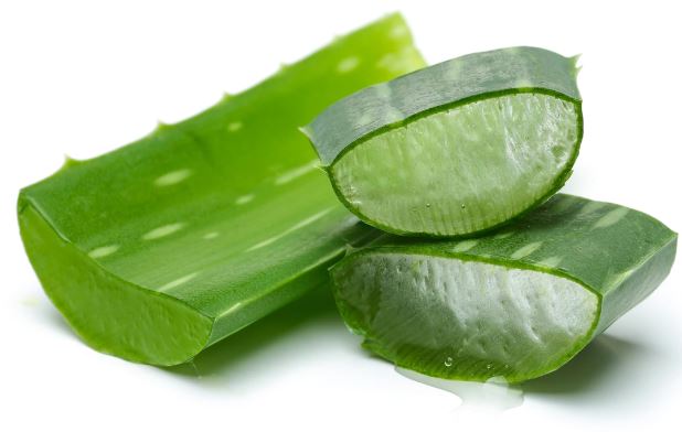 Aloe Vera Powder-1