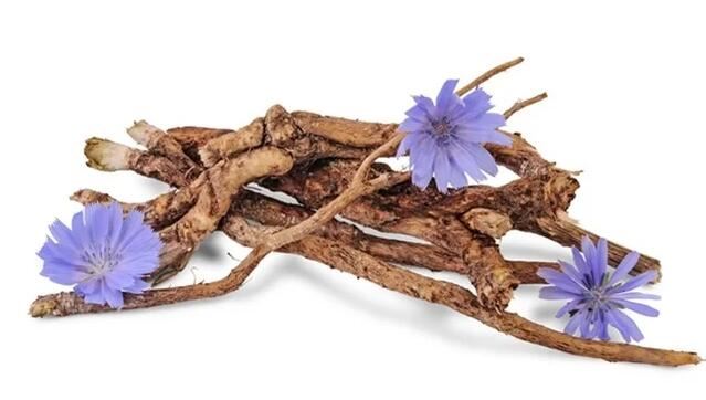 Chicory Root Chicory Root