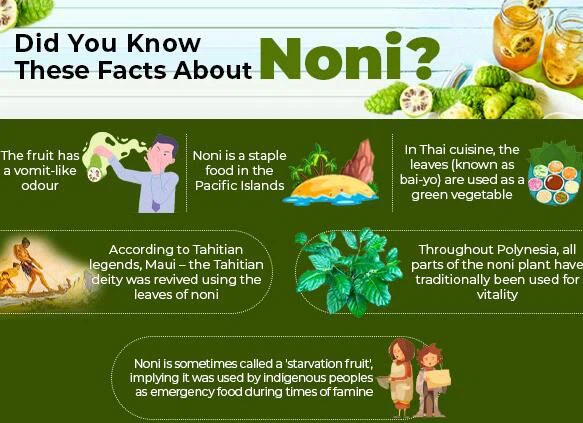product-1-1 hawaiian noni powder benefits