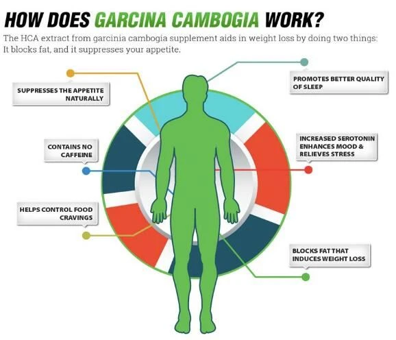 Garcinia Cambogia extract powder Benefits