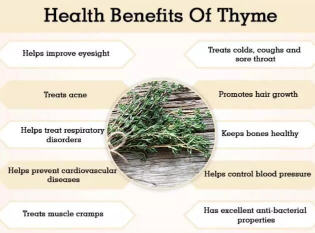 thymus vulgaris benefits
