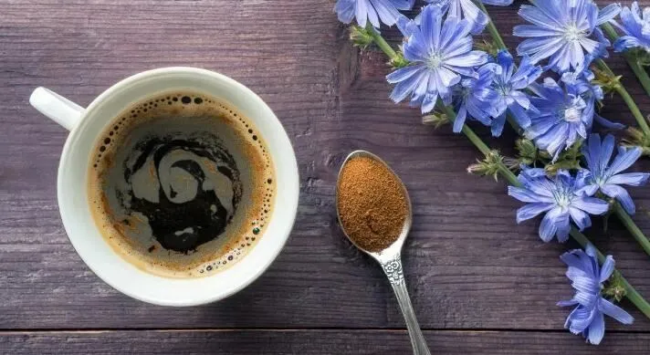 Is there inulin in chicory coffee