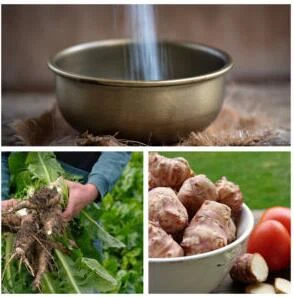 Does inulin raise blood sugar