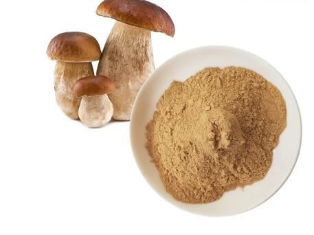 organic shiitake mushroom powder organic shiitake mushroom powder
