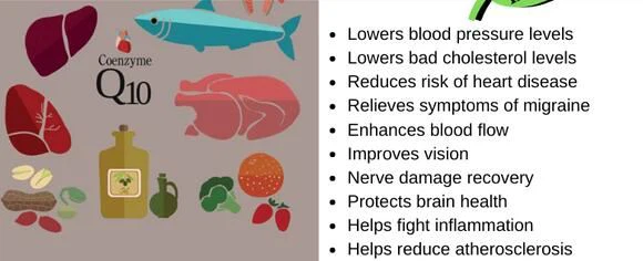 coenzyme q10 benefits coenzyme q10 benefits