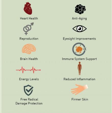 coq10 benefits coq10 benefits