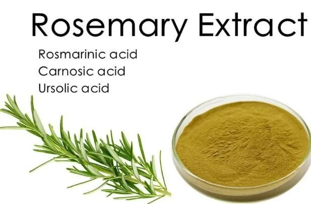 rosemary leaf extract for skin