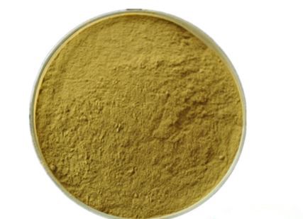 lemon balm extract-1.png lemon balm extract-1.png