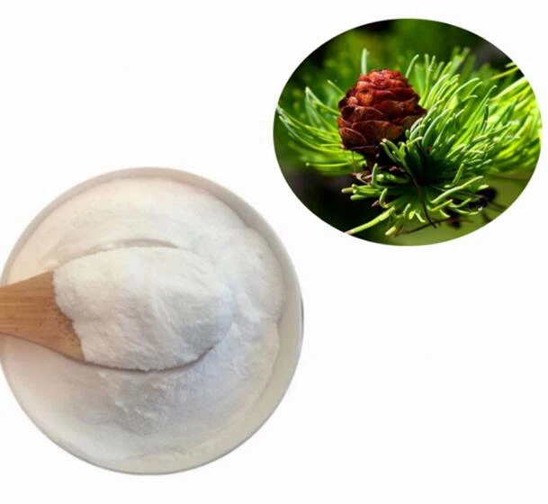 Larch Tree Extract manufacturer undersun