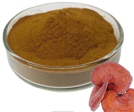beta glucan reishi mushroom beta glucan reishi mushroom