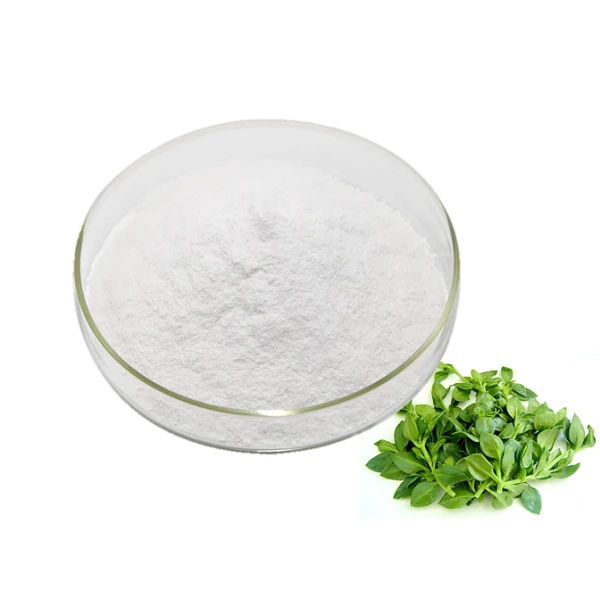 Andrographis Extract