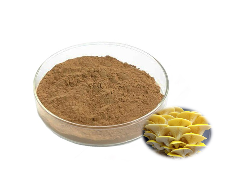 Golden Oyster Mushroom Extract Ergothioneine