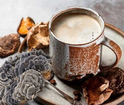 Turkey Tail Extract: Solubility and Stability for Functional Beverages