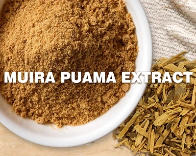Muira Puama Extract Supplier Guide: Quality, Sourcing, and Applications