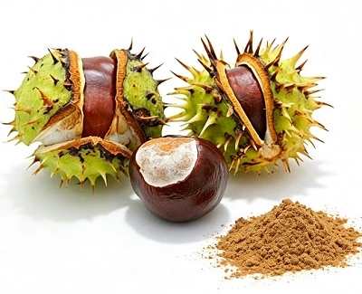 Horse Chestnut Extract Aescin Content: Standards, Testing & Bulk Buying