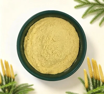 Is Lycopodium Homosporous or Heterosporous? A Lycopodium Powder Supplier’s Botanical Guide