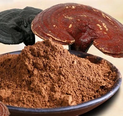 Reishi Powder vs. Extract: Testing Methods, Identification, and Specifications