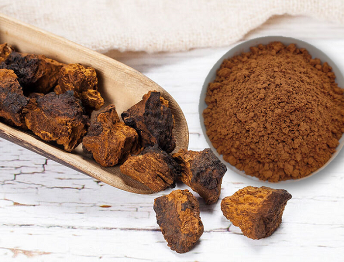 chaga mushroom extract chaga mushroom extract