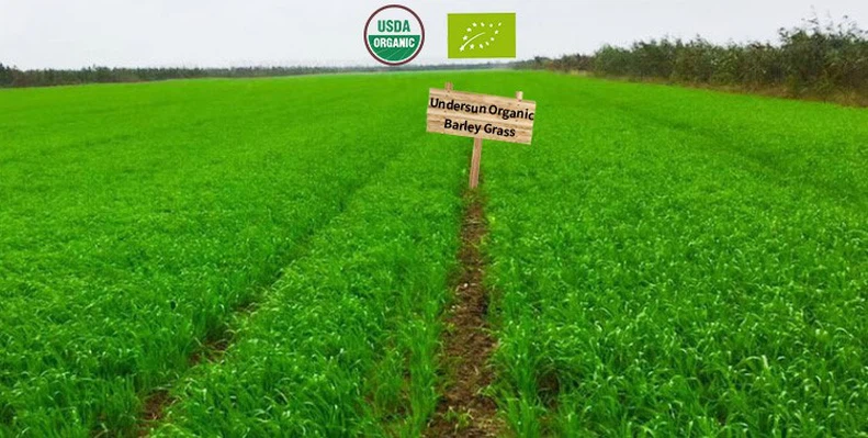 Organic barley grass juice powder suppliers manufacturers factory wholesale buy price Organic barley grass juice powder suppliers manufacturers factory wholesale buy price