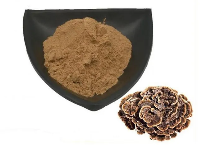 turkey tail mushroom powder turkey tail mushroom powder
