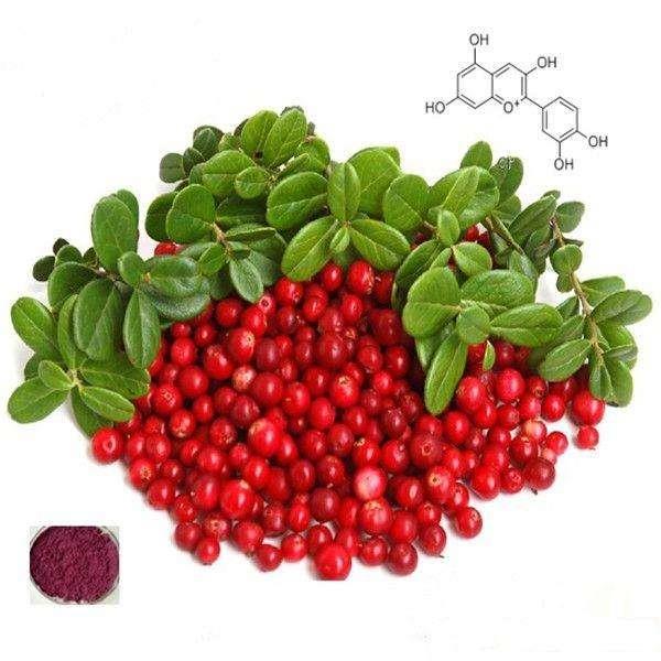 Faced with cranberry blending,undersun strength manufacturers