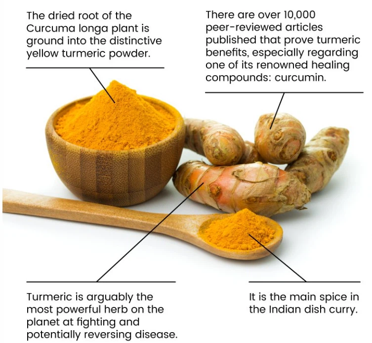 Turmeric Organic Powder Manufacturer Supplier Wholesale