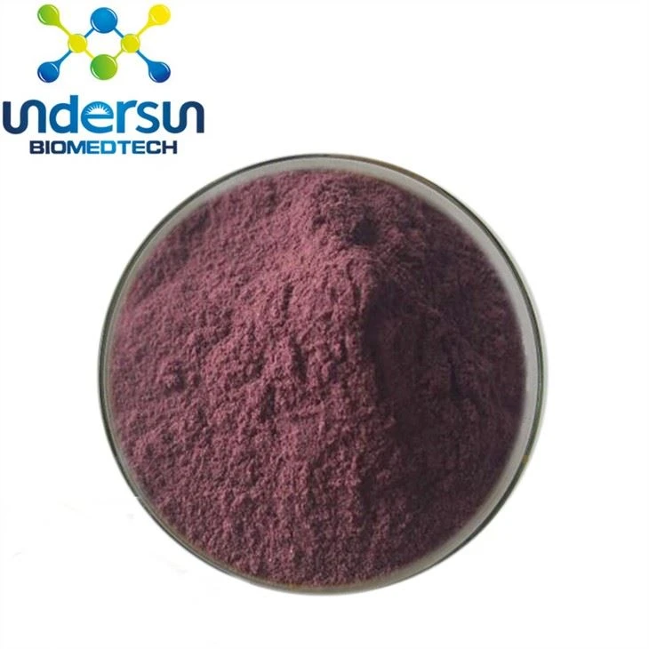 Black Elderberry Extract