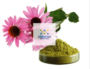 Enhance immunity-Echinacea extract