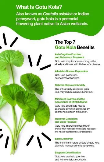 What is Gotu Kola?