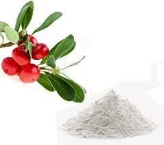 What is arbutin?