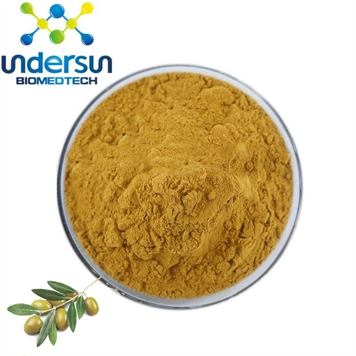 Olive Leaf Extract