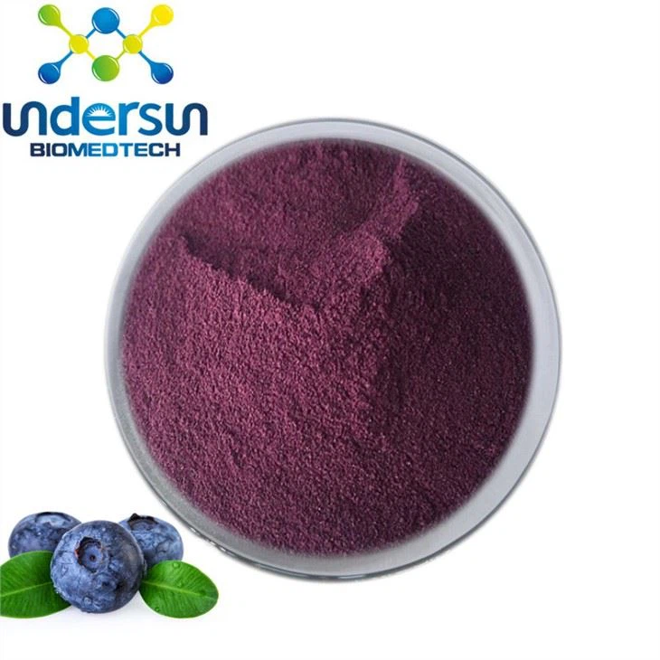 Organic Blueberry Powder