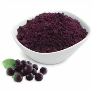 Organic Elderberry Powder