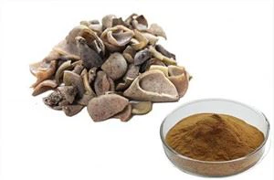 Galla Chinensis Extract