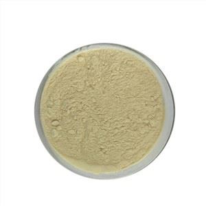 Ginseng Extract