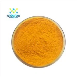 Turmeric Extract Powder