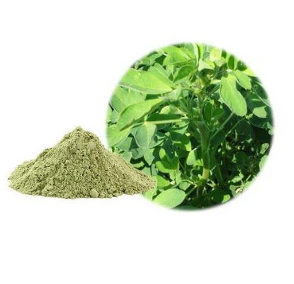 Alfalfa Powder