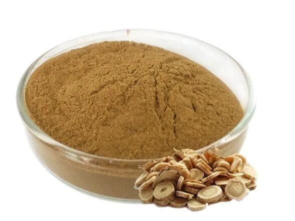 Astragalus Root Powder
