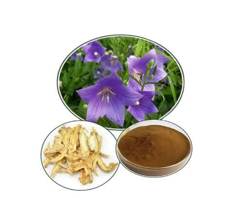 Bellflower Extract